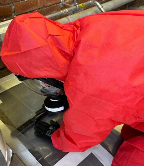 surveys for asbestos removal